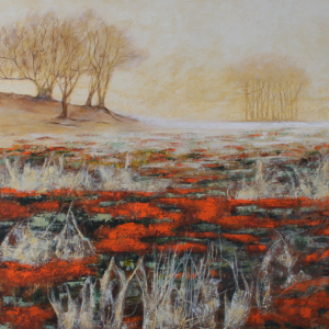 Van Gisbergen Duinlandschap Van Gisbergen Duinlandschap